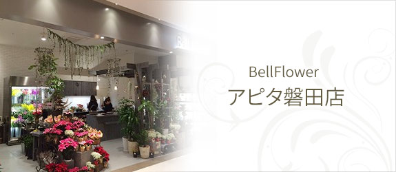 BELLFLOWER　アピタ磐田店